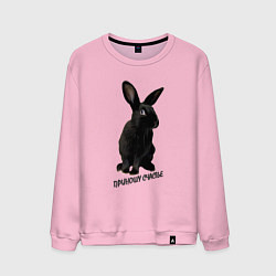 Свитшот хлопковый мужской Приношу счастье, черный кролик, символ 2023 года, цвет: светло-розовый