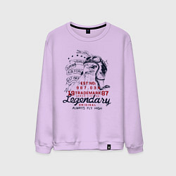 Мужской свитшот Орёл авиатор ретро