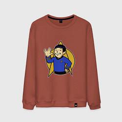 Мужской свитшот Spoke - vault boy