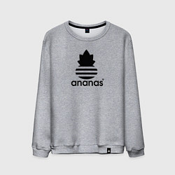 Свитшот хлопковый мужской Ananas - Adidas, цвет: меланж