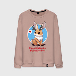 Свитшот хлопковый мужской Кролик встречает новый год, цвет: пыльно-розовый