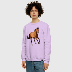 Свитшот хлопковый мужской Мустанг лошадь, цвет: лаванда — фото 2