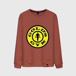 Мужской свитшот Golds GYM