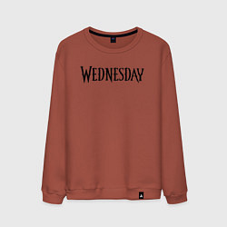 Свитшот хлопковый мужской Logo black Wednesday, цвет: кирпичный