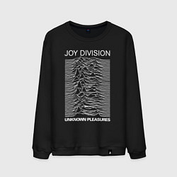 Мужской свитшот Joy Division