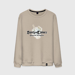 Мужской свитшот Black Clover