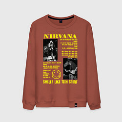 Свитшот хлопковый мужской Nirvana SLTS, цвет: кирпичный