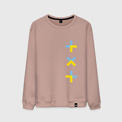 Свитшот хлопковый мужской TXT vertical logo, цвет: пыльно-розовый