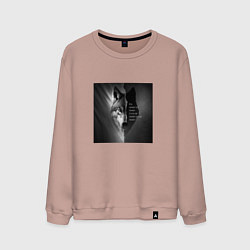 Мужской свитшот Мем с волком