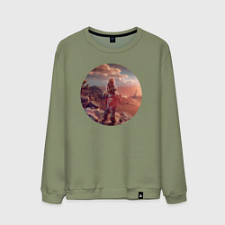 Мужской свитшот Horizon Aloy