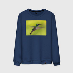 Свитшот хлопковый мужской Милая колибри, цвет: тёмно-синий