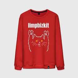 Мужской свитшот Limp Bizkit rock cat