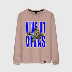 Свитшот хлопковый мужской Vive ut vivas, цвет: пыльно-розовый