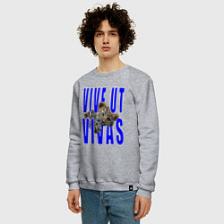 Свитшот хлопковый мужской Vive ut vivas, цвет: меланж — фото 2
