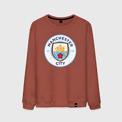 Свитшот хлопковый мужской Manchester City FC, цвет: кирпичный