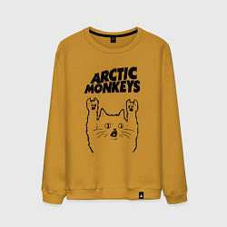 Мужской свитшот Arctic Monkeys - rock cat