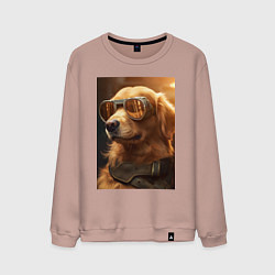 Свитшот хлопковый мужской Золотистый ретривер в золотых очках, цвет: пыльно-розовый