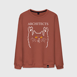 Свитшот хлопковый мужской Architects rock cat, цвет: кирпичный