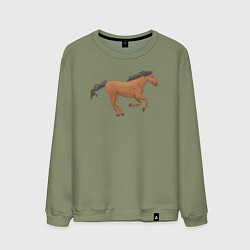Свитшот хлопковый мужской Мустанг лошадка, цвет: авокадо