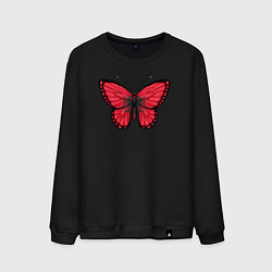 Свитшот хлопковый мужской Албания бабочка, цвет: черный
