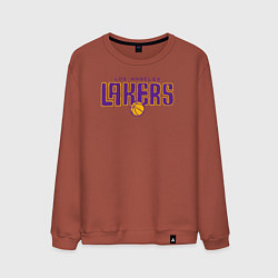 Свитшот хлопковый мужской Team Lakers, цвет: кирпичный