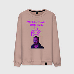 Свитшот хлопковый мужской Paused my game to be here, цвет: пыльно-розовый