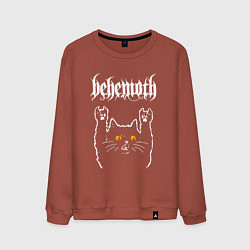 Мужской свитшот Behemoth rock cat