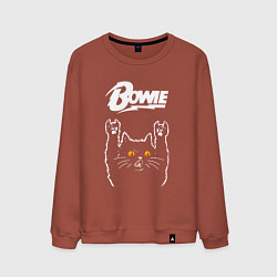 Свитшот хлопковый мужской David Bowie rock cat, цвет: кирпичный