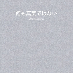 Свитшот хлопковый мужской Иероглифы nothing is real, цвет: меланж — фото 2