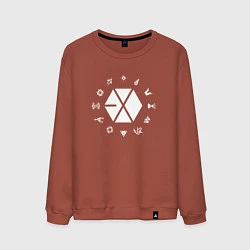 Свитшот хлопковый мужской Logo EXO, цвет: кирпичный