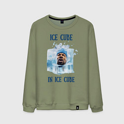 Мужской свитшот Ice Cube in ice cube