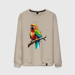 Свитшот хлопковый мужской Попугай какаду, цвет: миндальный