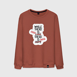Свитшот хлопковый мужской While where is code where is bugs, цвет: кирпичный