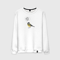 Свитшот хлопковый мужской Синица с прикольной надписью - держи себя в руках, цвет: белый