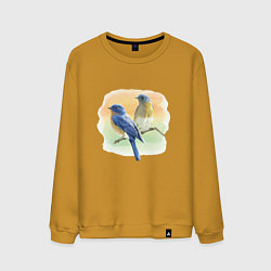 Свитшот хлопковый мужской Птицы живут везде, цвет: горчичный