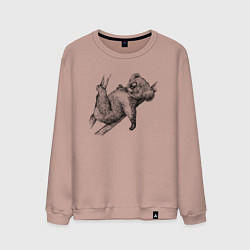 Свитшот хлопковый мужской Коала отдыхает на дереве, цвет: пыльно-розовый