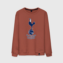Свитшот хлопковый мужской Tottenham Hotspur fc sport, цвет: кирпичный