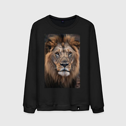 Свитшот хлопковый мужской Лев-король прайда, цвет: черный