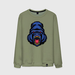 Свитшот хлопковый мужской Blue monkey, цвет: авокадо