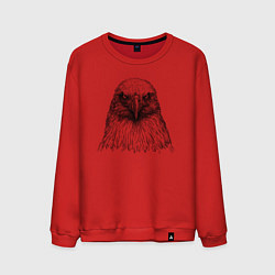 Свитшот хлопковый мужской Орёл анфас, цвет: красный