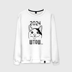Свитшот хлопковый мужской 2024 - мемный кот, цвет: белый