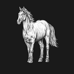 Свитшот хлопковый мужской Белая лошадь стоит, цвет: черный — фото 2