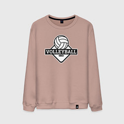 Свитшот хлопковый мужской Volleyball club, цвет: пыльно-розовый