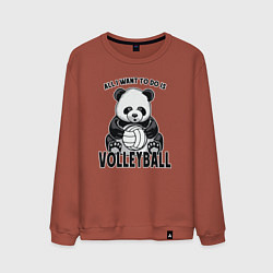 Свитшот хлопковый мужской Panda volleyball, цвет: кирпичный