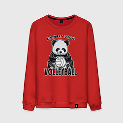 Свитшот хлопковый мужской Panda volleyball, цвет: красный