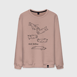 Свитшот хлопковый мужской Not today спящие коты, цвет: пыльно-розовый