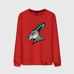 Свитшот хлопковый мужской Rabbit team, цвет: красный