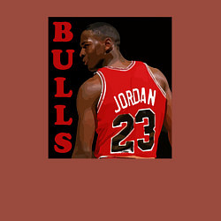 Свитшот хлопковый мужской Bulls Jordan, цвет: кирпичный — фото 2