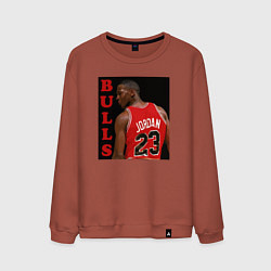 Свитшот хлопковый мужской Bulls Jordan, цвет: кирпичный