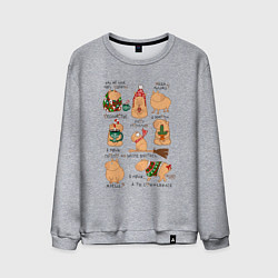 Свитшот хлопковый мужской Капибары зимой, цвет: меланж